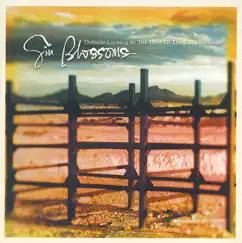 Outside Looking In: The Best of the Gin Blossoms by Gin Blossoms album reviews, ratings, credits