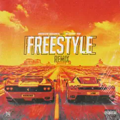 Freestyle Remix (feat. Rochy RD) [Remix] Song Lyrics