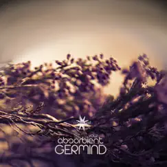 Absorbient, Vol. 2 by Germind album reviews, ratings, credits
