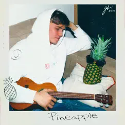 Pineapple Song Lyrics