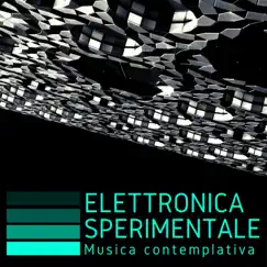 Elettronica sperimentale: Musica contemplativa by Distorsione Elettronica album reviews, ratings, credits