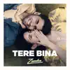 Tere Bina - Single album lyrics, reviews, download