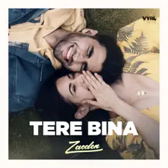 Tere Bina - Single by Zaeden album reviews, ratings, credits