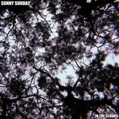 In The Clouds - Single by Sunny Sunday album reviews, ratings, credits