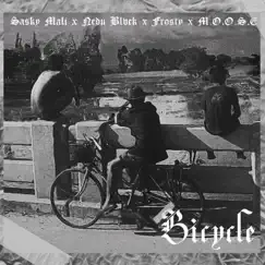 Bicycle (feat. Frosty, M.O.O.S.E, Blvck Nedu) Song Lyrics