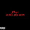 Crash and Burn - Single album lyrics, reviews, download