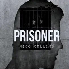 Prisoner Song Lyrics