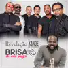 Brisa do Meu Prazer (feat. Xande de Pilares) - Single album lyrics, reviews, download