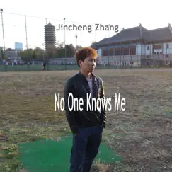 No One Knows Me by Jincheng Zhang album reviews, ratings, credits