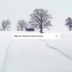 Nature: Wind Meets Snow by LARZ Moods album reviews, ratings, credits