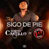 Sigo De Pie (En Vivo) [feat. La Decima Banda] [En Vivo] - Single album lyrics, reviews, download