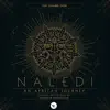 Franco Prinsloo: Naledi - An African Journey album lyrics, reviews, download