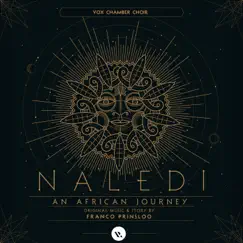 Naledi: An African Journey: VII. Naledi's Leap Song Lyrics