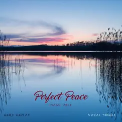 Perfect Peace - Single by Gary Gazlay album reviews, ratings, credits