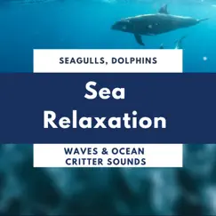 Sea Relaxation - Seagulls, Dolphins, Waves & Ocean Critter Sounds by Healing Markrain album reviews, ratings, credits