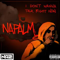 I Don't Wanna Talk Right Now - Single by NaPalm album reviews, ratings, credits