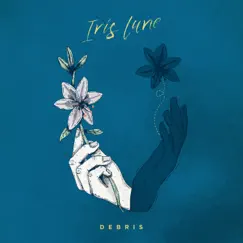Debris - Single by Iris Lune album reviews, ratings, credits