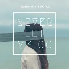 Never Let Me Go - Single by Lucian & IAMSAM album reviews, ratings, credits