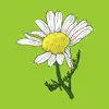 Chamomile - Single album lyrics, reviews, download