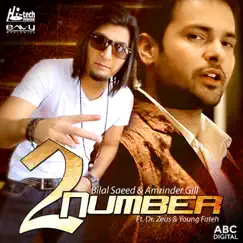 2 Number - Single by Bilal Saeed, Amrinder Gill, Dr Zeus & Young Fateh album reviews, ratings, credits