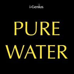 Pure Water (Instrumental Remix) - Single by I-genius album reviews, ratings, credits