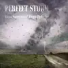 Perfect Storm - Single album lyrics, reviews, download