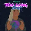 Too Long - Single album lyrics, reviews, download