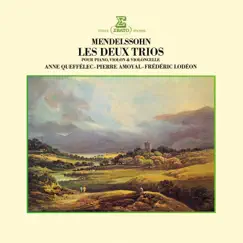 Piano Trio No. 1 in D Minor, Op. 49: II. Andante con moto tranquillo Song Lyrics