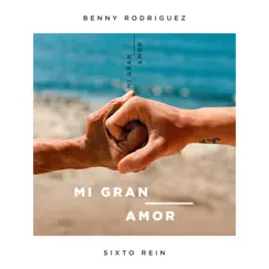 Mi Gran Amor Song Lyrics