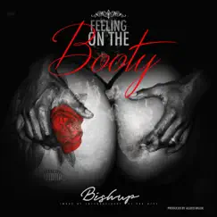 Feeling on the Booty (feat. Tankeezy, White-T & CamTheSinger) - Single by Bishup album reviews, ratings, credits