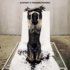 Ecstasy & Transmutations by Vanity Productions, Anfs, common poetry, UNHUMAN, Morah & Black Propaganda album reviews, ratings, credits