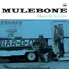 Bluesville Sessions album lyrics, reviews, download