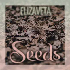 Seeds - Single by Elizaveta album reviews, ratings, credits