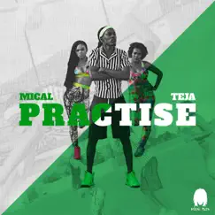 Practise - Single by Mical Teja album reviews, ratings, credits