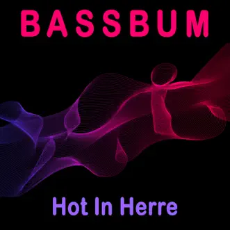 Hot in Herre - Single by Bassbum album download