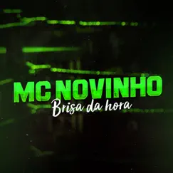 Brisa da Hora - Single by Mc Novinho album reviews, ratings, credits