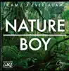 Nature Boy - Single (feat. Evert Adam) - Single album lyrics, reviews, download