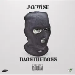 Counting My Money (feat. BagsTheBoss) - Single by Jay Wise album reviews, ratings, credits