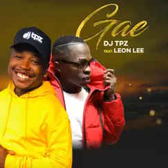 Gae (feat. Leon Lee) - Single by DJ TPZ album reviews, ratings, credits