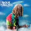 Soul Calling album lyrics, reviews, download