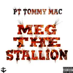Meg the Stallion Song Lyrics