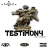 Testimony - Single album lyrics, reviews, download