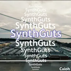 SynthGuts Song Lyrics