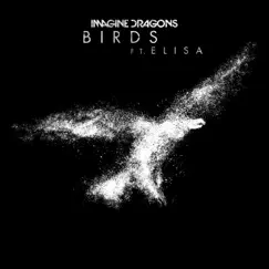 Birds (feat. Elisa) - Single by Imagine Dragons album reviews, ratings, credits