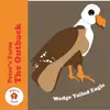 Wedge Tailed Eagle - Single album lyrics, reviews, download