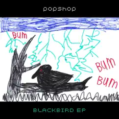 Blackbird - Single by Popshop album reviews, ratings, credits