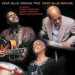 Deep Blue Bruise by Deep Blue Organ Trio album reviews, ratings, credits