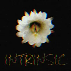 Intrinsic - Single by Don Shimoda album reviews, ratings, credits