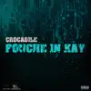 Fouche in Kay - Single album lyrics, reviews, download