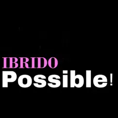 Possible ! - Single by Ibrido album reviews, ratings, credits